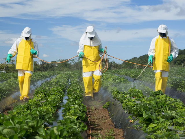 Boeren krijgen training voedselveiligheid
